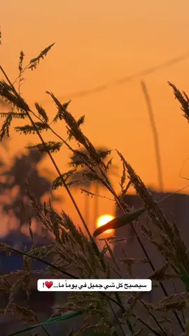 #جزء 142#تصويري📷 #تصويري_احترافي_الاجواء👌🏻🕊😴 #عباراتكم_الفخمه📿📌 #لايك_متابعه_اكسبلور 