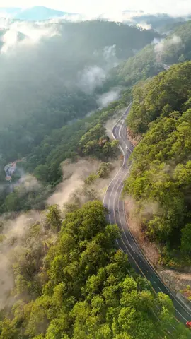 Đèo Prenn ở 1 Góc nhìn khác #deoprenn #dalat #ongganhdalatchill #photobikerdalat #Tramruaxeaetouring24h