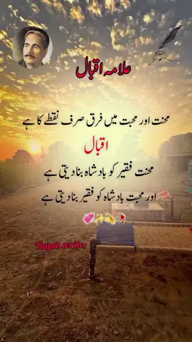 محنت اور محبت میں فرق صرف نکتے کا ہے 💫 Iqbal’s timeless wisdom reminds us that hard work makes kings, and love makes kings humble ❤️##AllamaIqbal #IqbalQuotes #UrduPoetry #MotivationalVideo #IqbalWisdom 