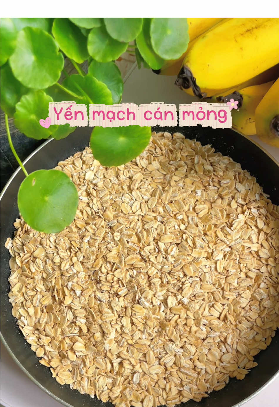 Yến mạch nguyên cám #yenmachnguyencam 