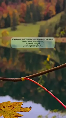 #eylülzade #ekim #sonbahar #autumn #anlamlısözler 