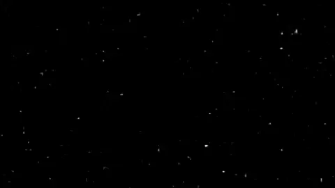 حاتم الشمري  #حاتم_الشمري #شعر #هواجيس #foryou #fyp 