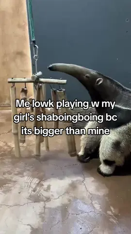 Idk what to caption this gng I just thought it was silly.... ... #meme #shitposting #grindcore #deathmetal #deathgrind 