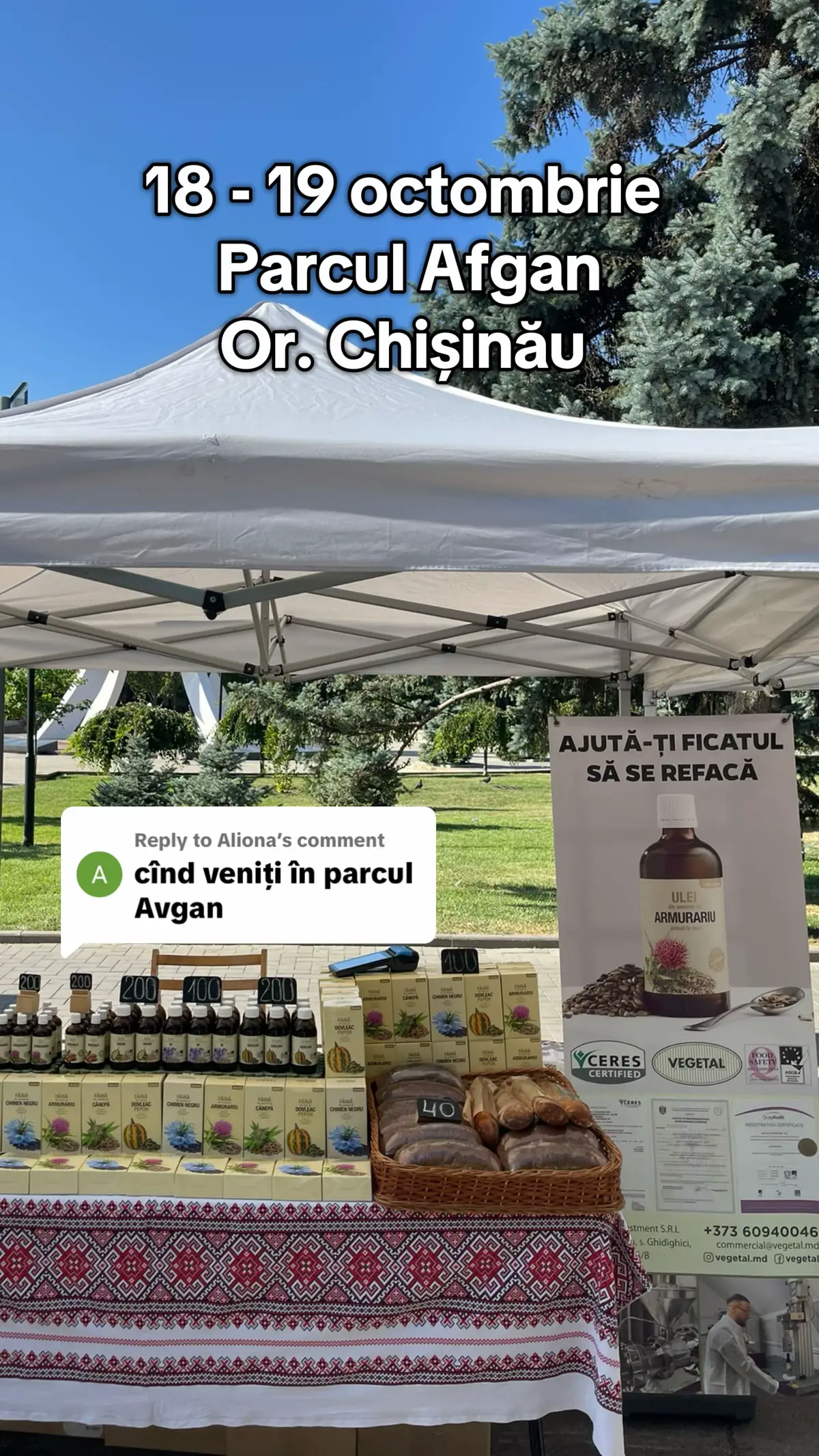 Replying to @Aliona #targ #parc #chisinau #uleinatural #vegetalmd 