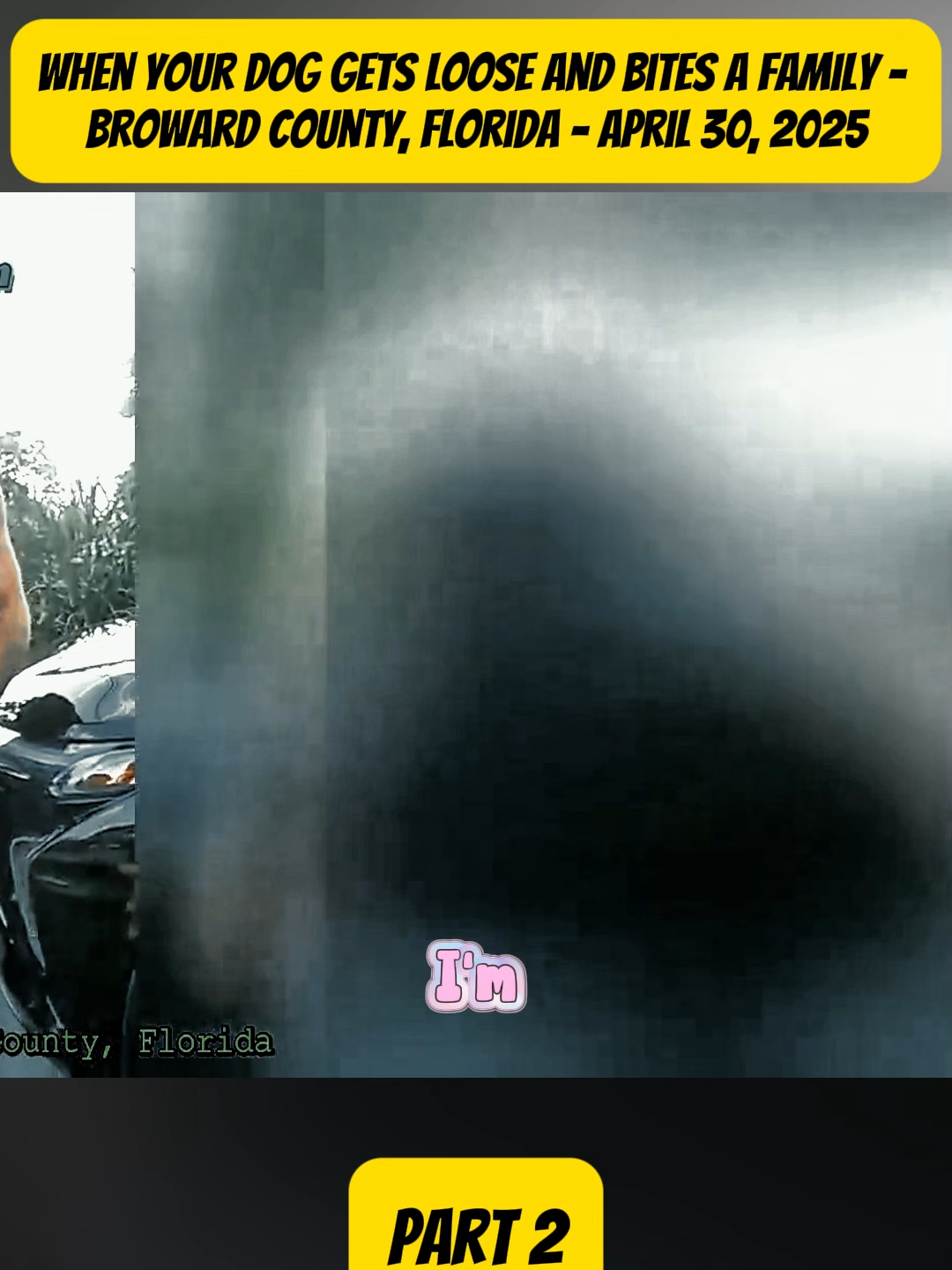 #cops #copsvideos #police #new #merica