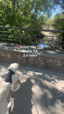 If you’re new to trail running, Arbor Hills Tower Trail is the perfect start! Short, scenic, and full of friendly faces 🤍 ##runtok##Running##plano##trail##dfw
