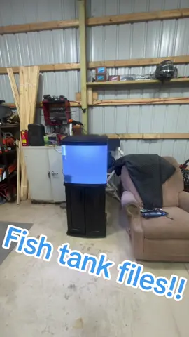 Fish tank update #hobby #aquarium #fish #nemo #ocean 