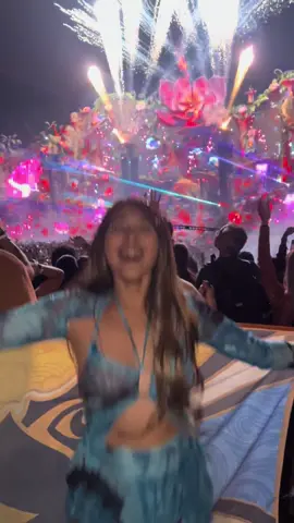THE BEST FIREWORKS IVE EVER SEEN!!! TOMORROWLAND BRASIL!