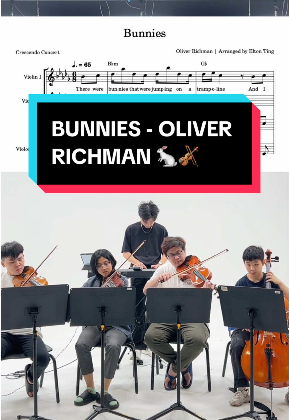 Bunnies - Oliver Richman string quartet version 🐇🎻 Have you ever seen bunnies jumping on a trampoline?  All credits to @olivesongs!!  #crescendoconcert #bunniesonatrampoline #bunnies #olivesongs #oliverrichman 