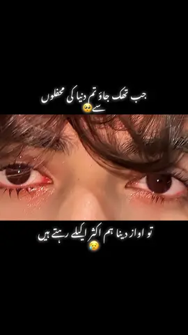 یہ عشق 💔🥺🕊️#pikachu_4251🌸 #tiktok #pikachueyesvideos #trending #viral 