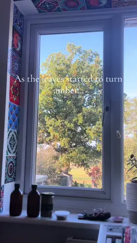 A little update on where I am. I've stopped searching for things that are within me and I'm learning to adjust and let go. 🩷🩷🩷 #independence #self #actualisation 