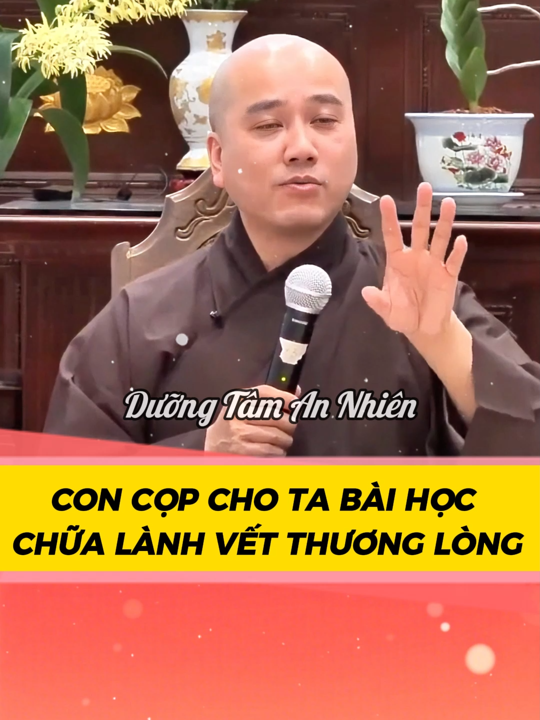 Con cọp cho ta bài học chữa lành vết thương lòng | Thầy Pháp Hòa #phatphap #xh #thichphaphoa #tutap #hanhphuc