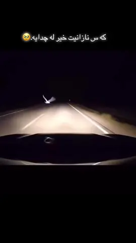 #وته يه كس جوان بوو ئه م ڤيديويه#💔🥹 #foryoupageofficiall #💔🥀 