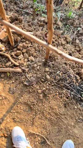 #sunset #samarinda #puncakstellingsamarinda #wisatasamarinda #senja 