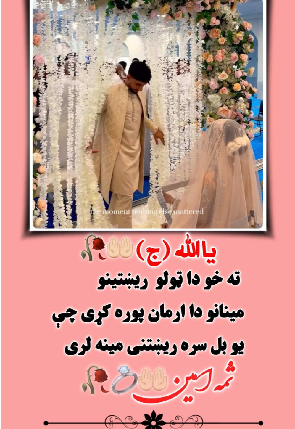 #لری_داسی_کوم_څوک💕🥀 #ویډیو_ورته_ولیګه💕 #ilovemyindia #ikissyou😘 #foreverglobaless 💍❤️🥀𝐀𝐚𝐚𝐚𝐚𝐚𝐚𝐀 @𓆩🦋🥀﮼ناروغ ﮼هلگ🥀🦋𓆪 