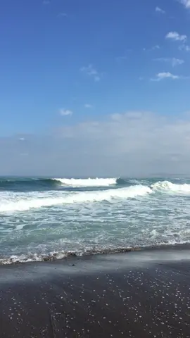 🌊🌊🌊🌊🌊