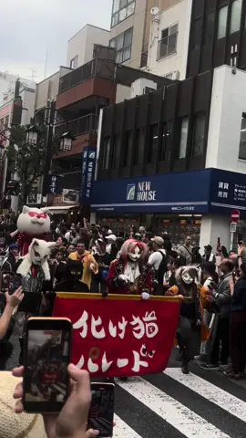Bakeneko festival on my birthday :3