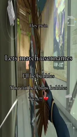 #Valorant #valorantclips #valorantmemes #twin #valorantstreamer 