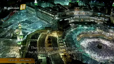 الشيخ سعود الشريم حفظه الله💚🌿 #سعود_الشريم #القران_الكريم_راحه_نفسية😍🕋 #القران #quran #islam