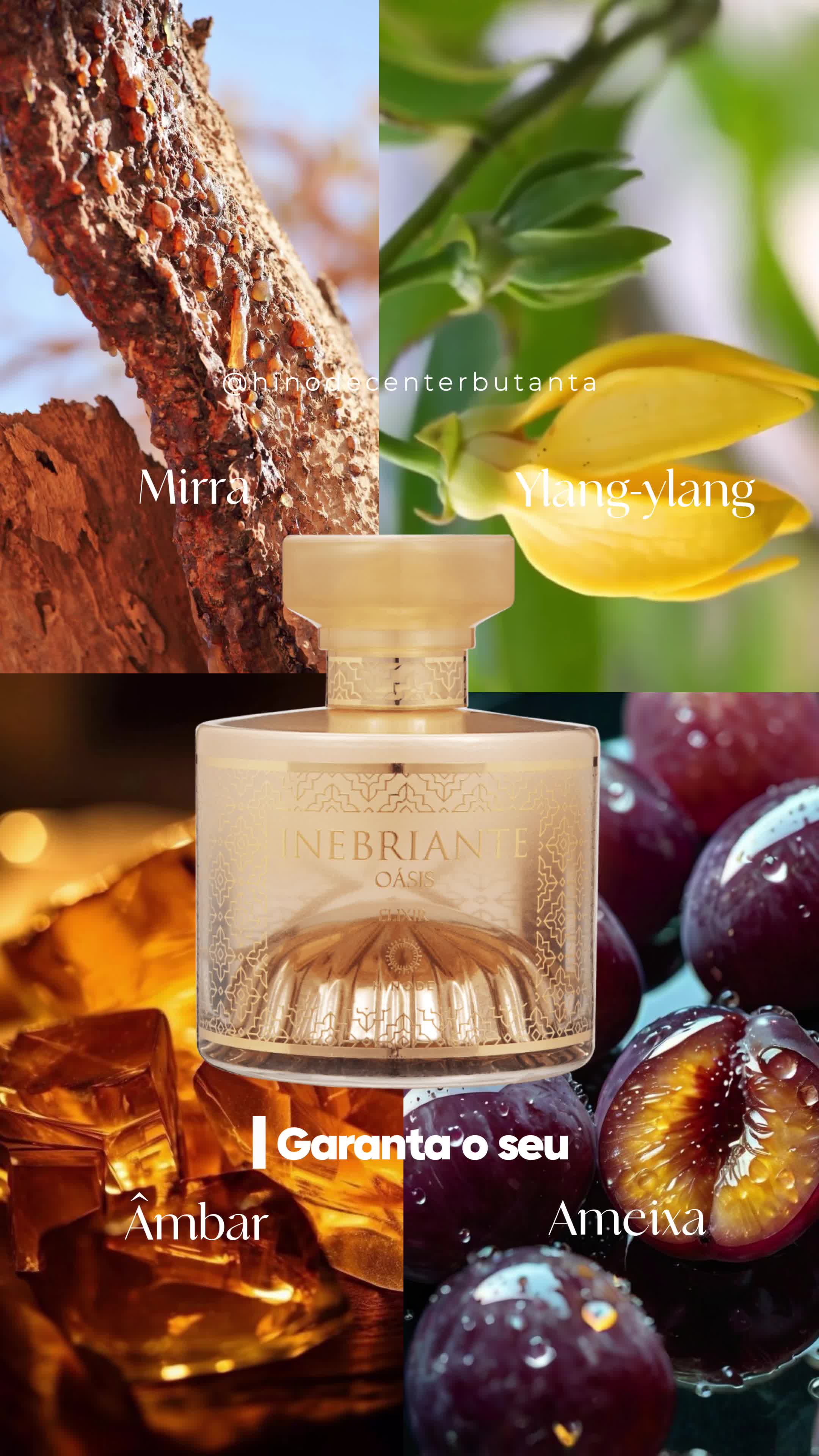 ✨ INEBRIANTE OASIS ELIXIR Criado em Dubai, este perfume exclusivo da Hinode traduz a sofisticação, o mistério e a opulência dos paraísos árabes em uma fragrância intensa, exótica e memorável. Com uma abertura marcante de ameixa madura, Oasis Elixir evolui para um coração floral de jasmim da Índia, rosa e ylang-ylang, revelando camadas profundas de elegância e sensualidade. A base quente e resinosa de mirra e âmbar envolve a pele como um véu luxuoso, perfeito para mulheres que querem ir além do óbvio e deixar sua presença marcada. Mais do que um perfume, uma experiência sensorial. Uma viagem ao coração do deserto, em noites douradas de Dubai. ✅ Disponível na Hinode Butantã 🎁 Pronta-entrega com embalagem para presente e entrega em até 4 horas para São Paulo. 📍 Entregamos em todo estado de SP 🛍️ Visite nossa loja física: Rua Alvarenga, 1442, Butantã-SP 📲 Clique no link da bio e fale conosco pelo whatsapp #OasisElixir #HinodeButantã #PerfumeÁrabe #FragrânciaExclusiva #PerfumeDeDubai #FragrânciaFeminina #AltaPerfumaria #ExperiênciaSensorial #FranquiaHinode #EntregaRápidaSP