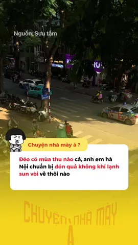 Hà Nội chuẩn bị đón mùa đông rồi  #chuyennhamaya #creative #news #xh 