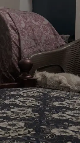 Tum phir Aooo 💔🖇️#foryou #coco #fyp 