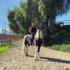 ..me with Romeo🤍...most beautiful #horse 