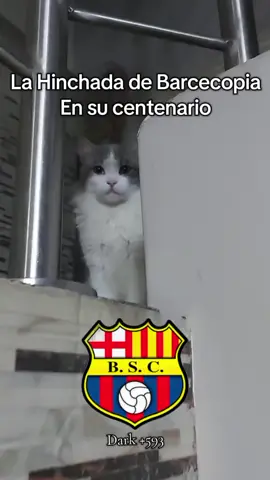 Centenario de Bercelona, su próximo partido Liga de Quito vs Barcelona Viernes 17 de Octubre. #Ldu #humorfutbolero #ligadequito #LigaenSemis #reydecopas @LDU Oficial 