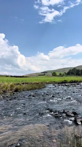It’s always little things that fill up my heart ❤️ #farming #farmingkzn #agriculture #southafrica 