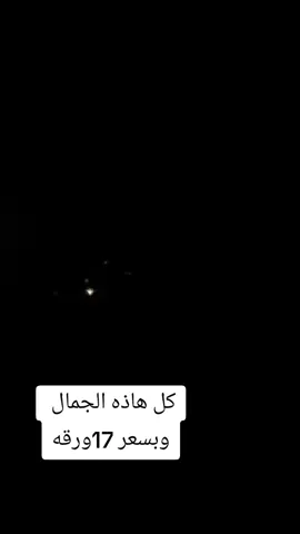 #شكوري_محمود #الوحش_الالماني👑💪 #بطحات_636 #واحد_عراق 