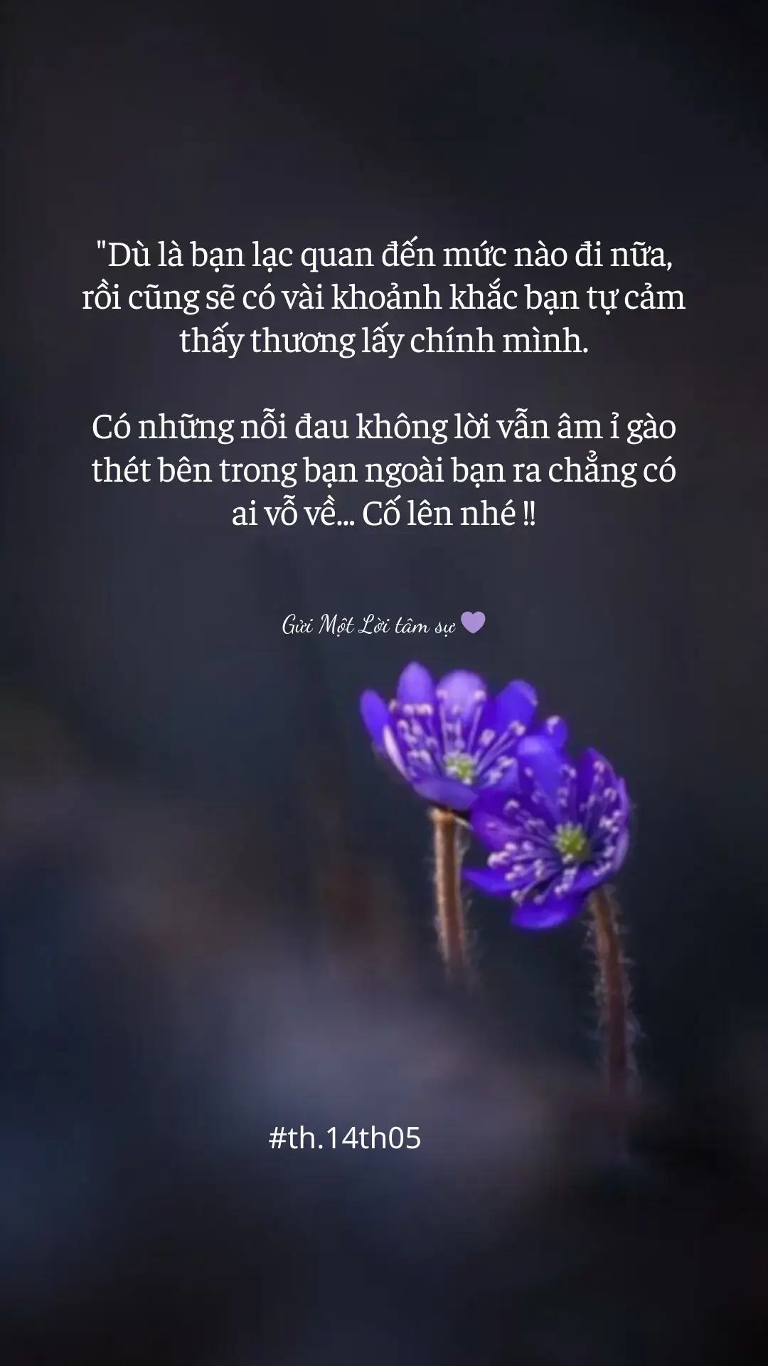 #xhuong #guimotloitamsu 
