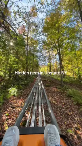 100% worth the trip for the best fall day! A day full of mountain coasters, zip lining, good food, and scenic views 🍂🍁🍃🧸🛤️🌳🏕️ #falladventures #adventure #upstateny #newyork #upstatenewyork  