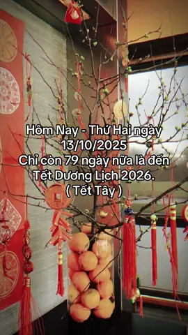🎉 Còn 79 ngày nữa là Tết Dương Lịch – ai chưa có người yêu thì chạy nước rút thôi 😜.                            #tet #tet2026 #tet2026🎆🧨 #tetnguyendan2026🧧🎆🧨 #xuan 