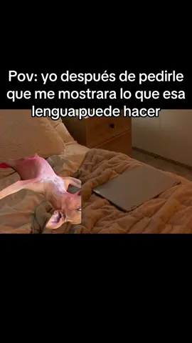 Relacionable?😂#novios #novias #pareja #relaciones #relatable 