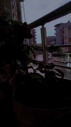 يااااارب يااااارب تفرجا عليي وعلى جوزي وتجمعنه مع بعض #مالي_خلق_احط_هاشتاقات 