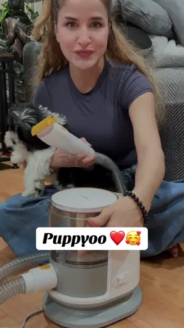 @Puppyoo Shop #petgroomingvacuum #puppylife #greeneyes💚 #punjabi #pet 