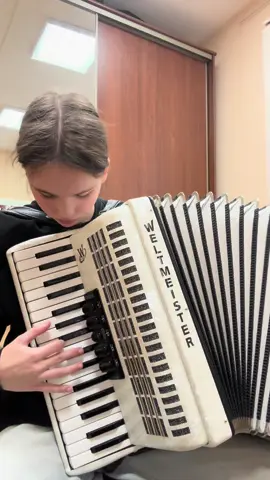 мда ужас,фулл версия money so big #moneysobig #аккордеон #рек #баян #song 