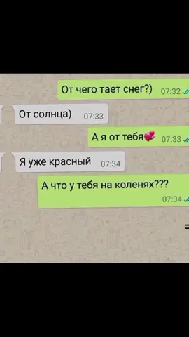 кошка #fyp #foryou #foryoupage #recommendations #tiktok 