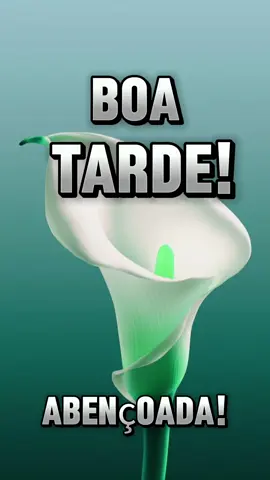 #boatardee #viralizarnotiktok #reflexao 