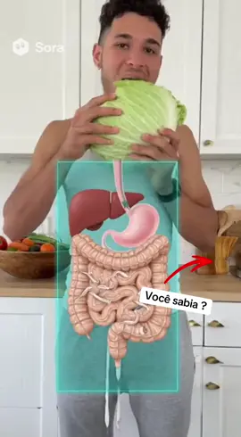 Siga o canal para aprende !