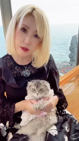 #思い出 🩷スージー🩷感謝の世界🩷生後4ヶ月