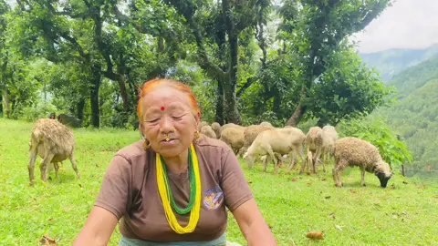 Mis you mamkanxi..Please visit https://m.youtube.com/@thamimusic hamro aama ko geet suni dinu hola#okhaldhunga_muser #creatorsearchinsights #foryoupage #villagelife 