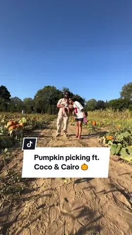 This is your sign to bring your dog to the pumpkin patch 🥹🥰 #fallactivities #pumpkinpatch #dogtiktok #poodlesoftiktok #fyp 