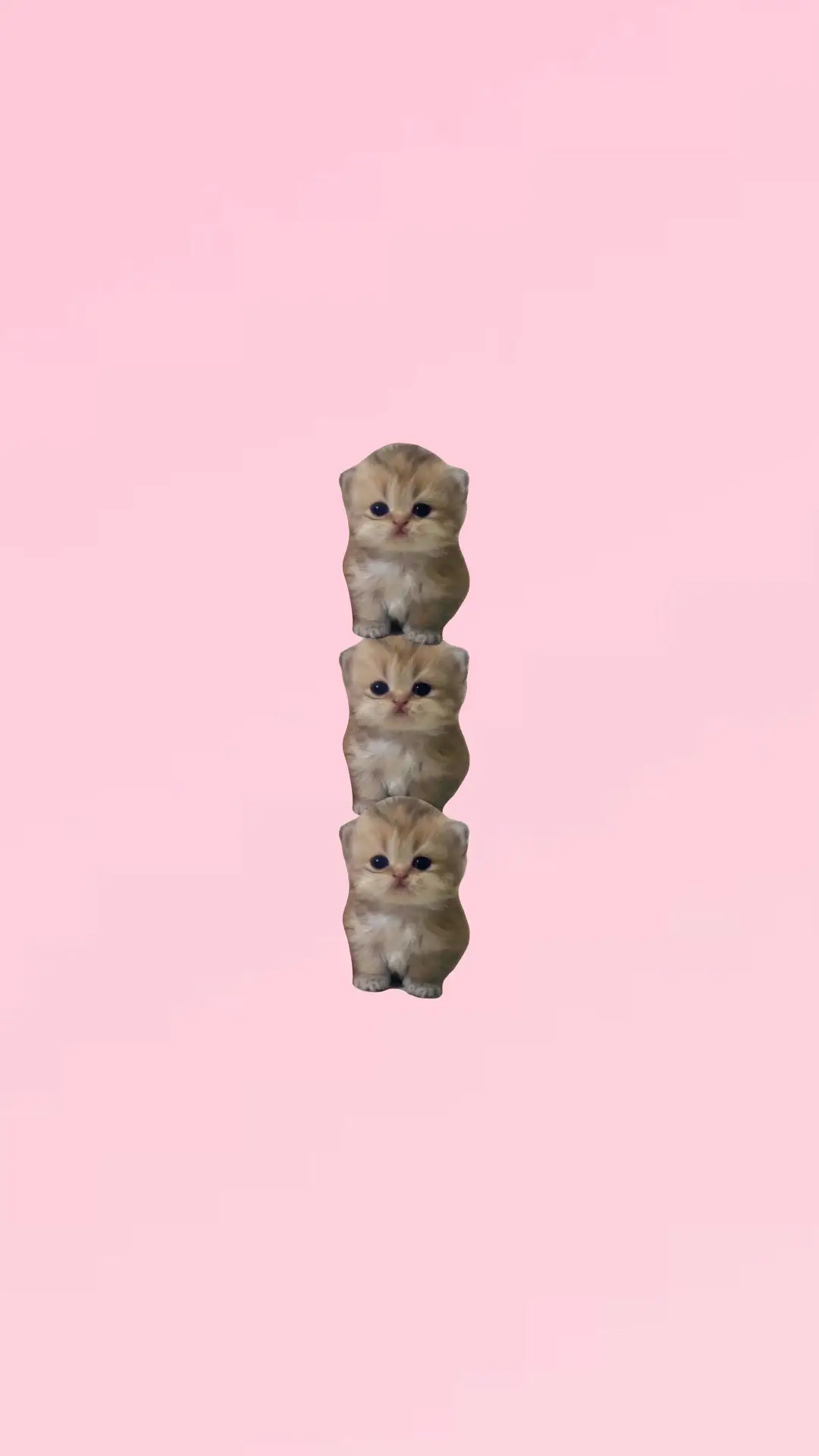 #sadsong #fyp #iloveyou #cat #xyzbca 