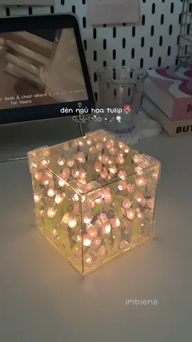 lần đầu tiên tự tay làm chiếc đèn mà dễ đến thế, lại xinh lung linh 🌷✨ #dennguhoatulip #dennguphale #tulamquatang #quatanghandmade #imbiene 