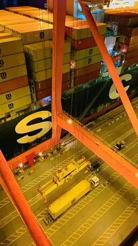 Next Miracle of the Asia. #MSC #containeroperations #gantrycrane #HBA #srilanka 