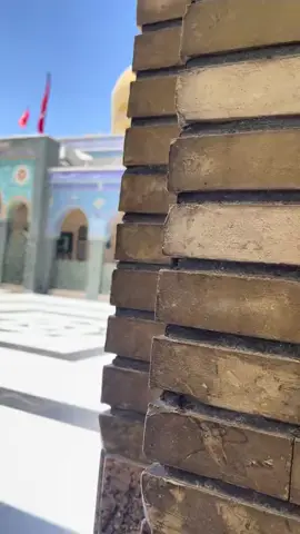 #يازينب_يامولاتي 