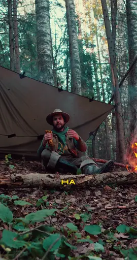 Зачем таскать с собой пенки и карематы, если лес сам всё приготовил? 🌲 Лапник — лучший походный матрас. И зимой, и летом он спасает от холода земли, изолирует тело и делает сон в лесу куда комфортнее. Выкладываешь слой еловых или пихтовых лап, и у тебя готово ложе, которое ничем не хуже коврика. А главное — никакой лишней возни и веса в рюкзаке. Лес всегда даёт решения проще, чем любая «походная экипировка». . . . #путешествия #лес #природа #туризм 