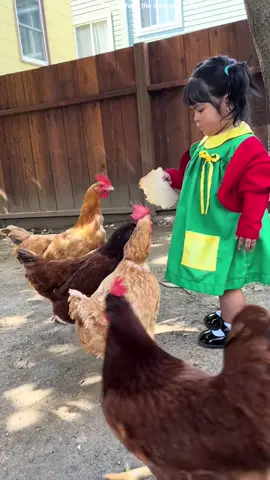 La chilindrina con sus gallinas…#chilindrina #lachilindrina #gallinas #niña #fyp 