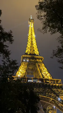 Paris is a dream ✨ #paris #eiffeltower 